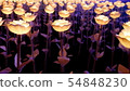 Decoration of Colorful Flower Lights 54848230