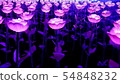 Decoration of Colorful Flower Lights 54848232