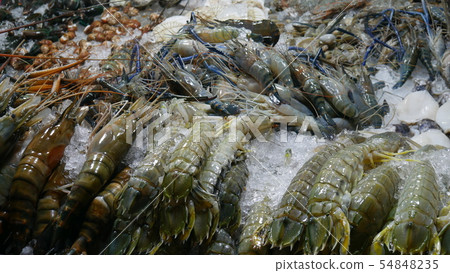 Variation of Seafood on the stall Variation of Seafood on the stall 54848235