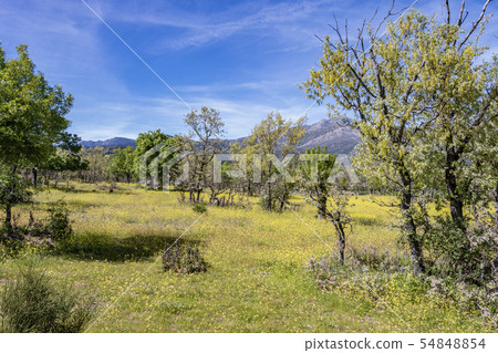 View of the national park of Guadarrama. madrid 54848854