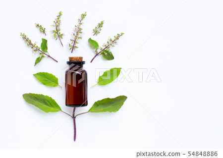 Holy basil essential oil with holy basil leaves 54848886
