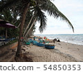 Vietnamese countryside town beach and lots of palm trees 54850353