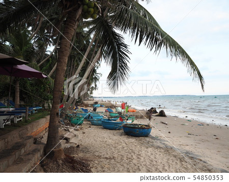 Vietnamese countryside town beach and lots of palm trees 54850353