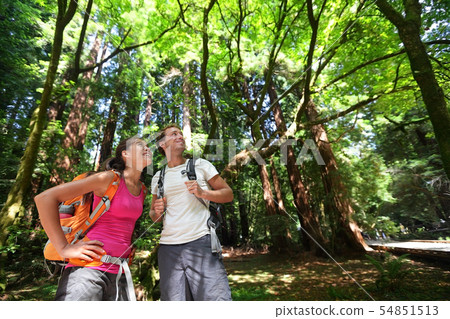 Hiking people in Redwoods nature, San Francisco Hiking people in Redwoods nature, San Francisco 54851513