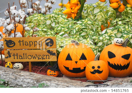 Halloween display 54851765
