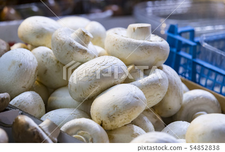 Background of mushrooms on the market in Milan in Background of mushrooms on the market in Milan in 54852838