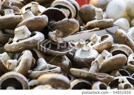Background of mushrooms on the market in Milan in  54852839