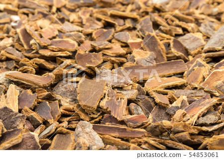 Cascara sagrada樹皮:Cascara sagrada樹皮 Cascara sagrada樹皮:Cascara sagrada樹皮 54853061