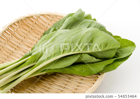 Nigana, Njana (Hosoba Wadan) 54853464