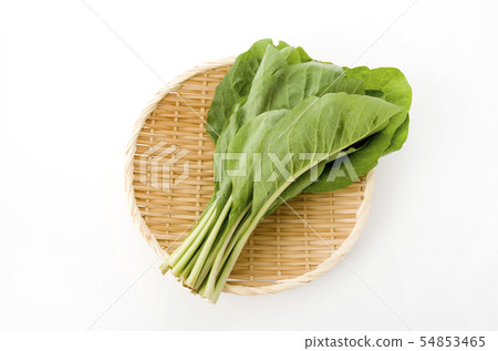Nigana, Njana (Hosoba Wadan) 54853465