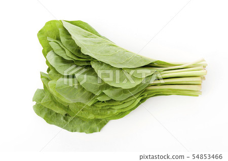 Nigana, Njana (Hosoba Wadan) Nigana, Njana (Hosoba Wadan) 54853466