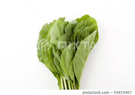 Nigana, Njana (Hosoba Wadan) 54853467