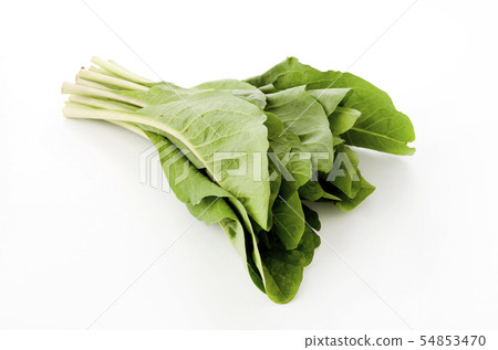 Nigana, Njana (Hosoba Wadan) Nigana, Njana (Hosoba Wadan) 54853470