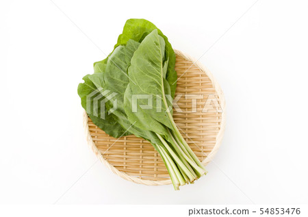 Nigana, Njana (Hosoba Wadan) Nigana, Njana (Hosoba Wadan) 54853476