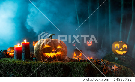 Halloween pumpkins on dark spooky forest. Halloween pumpkins on dark spooky forest. 54853782