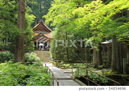 Komagane Hikari Majiri Komagane Hikari Majiri 54854696