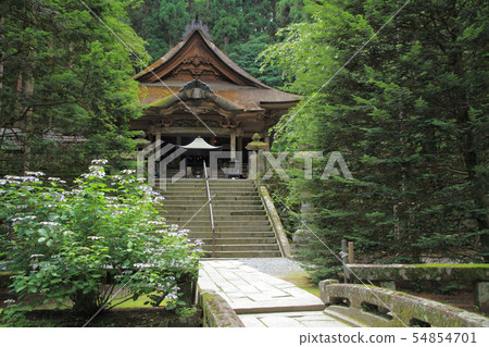 Komagane Hikari Majiri 54854701