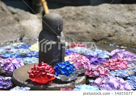 繡球花手水屋 繡球花手水屋 54855077