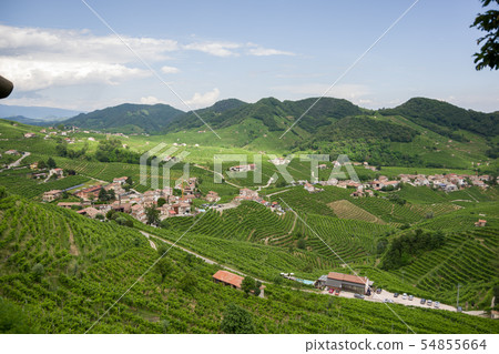 View of vineyards in Valdobbiadene area View of vineyards in Valdobbiadene area 54855664