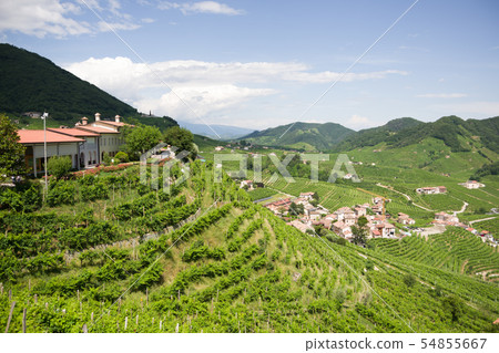 Santo Stefano di Valdobbiadene with vineyards 54855667