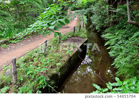 Kanazawa City Aoimizu 54855704