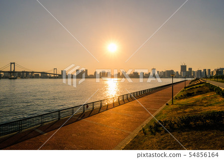 Toyosu-gururu公園的風景(夜景) Toyosu-gururu公園的風景(夜景) 54856164