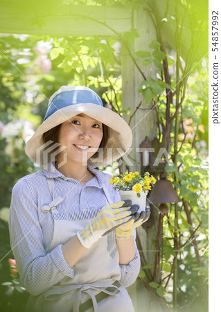 從事園藝的圖像有花幼木的婦女 54857992