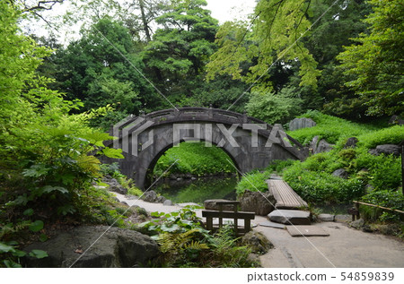 Koishikawa Korakuen睡蓮和Enzuki橋 Koishikawa Korakuen睡蓮和Enzuki橋 54859839