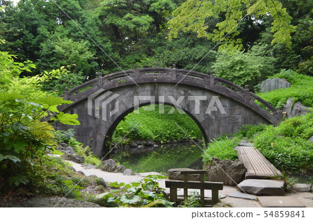 Koishikawa Korakuen睡蓮和Enzuki橋 Koishikawa Korakuen睡蓮和Enzuki橋 54859841