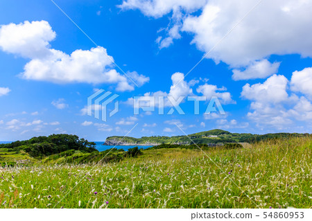 Komakizaki Park [Iki City, Nagasaki Prefecture] 54860953
