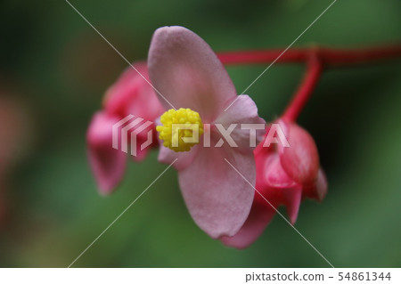 Akikai Pass of the Shukudanigawa River 54861344