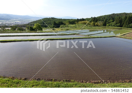 Tanada water mirror 54861452