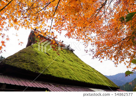 Thailand's village Thailand's village 54862577
