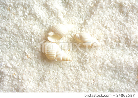 夏天圖像白色貝類沙子背景材料 54862587