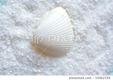 夏天圖像白色貝類沙子背景材料 54862589