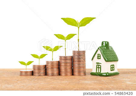 Model house and coin stack with tree on white Model house and coin stack with tree on white 54863420