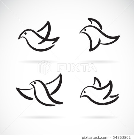 Collection of hand drawn doodle style birds. Collection of hand drawn doodle style birds. 54863801