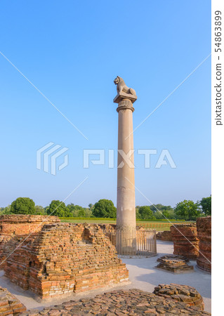 Asokan pillar at Kutagarasala Vihara, Vaishali, Asokan pillar at Kutagarasala Vihara, Vaishali, 54863899