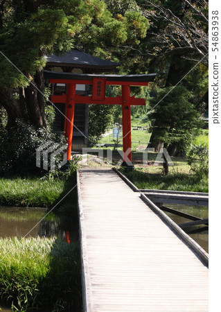 Itsukushima Shinto Torii in Itsukushima Wetlands Park 54863938