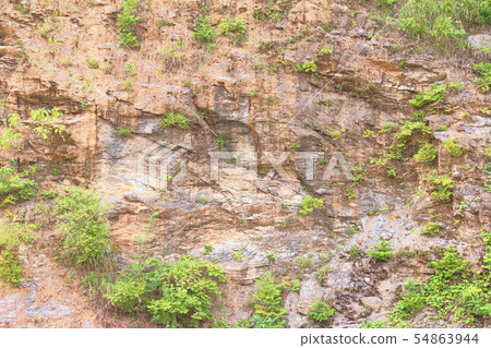 Section of the formation 54863944