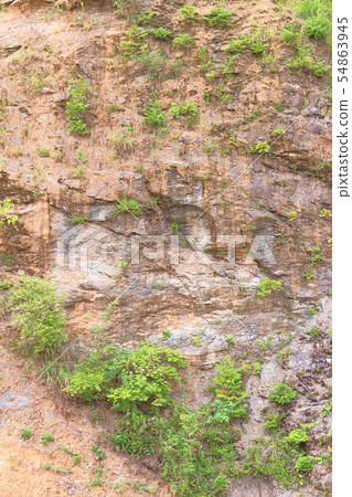 Section of the formation 54863945