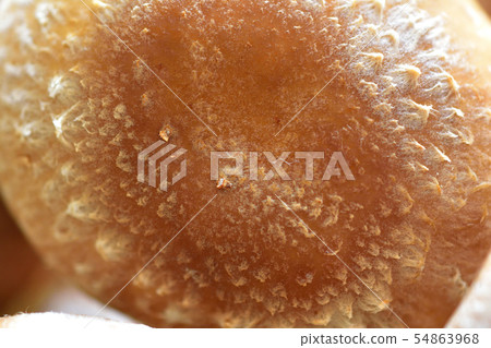 Shiitake mushroom 54863968