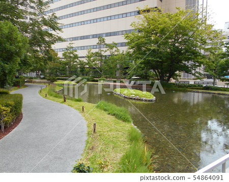 Oasis in the city 54864091