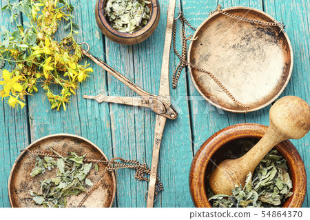 Hypericum medicinal plant 54864370