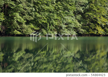 Reflections on Canali creek Reflections on Canali creek 54864423
