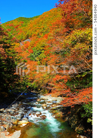 Colorful Fallen Doshi Valley 54864940