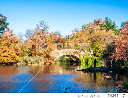 Fall New York Central Park 54865447