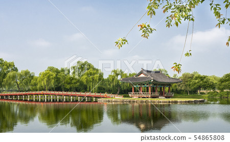 Kangnamji的春天 Kangnamji的春天 54865808