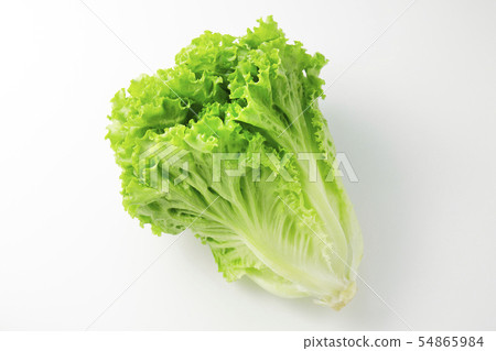 Leaf lettuce Leaf lettuce 54865984