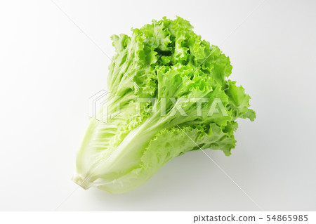 Leaf lettuce 54865985